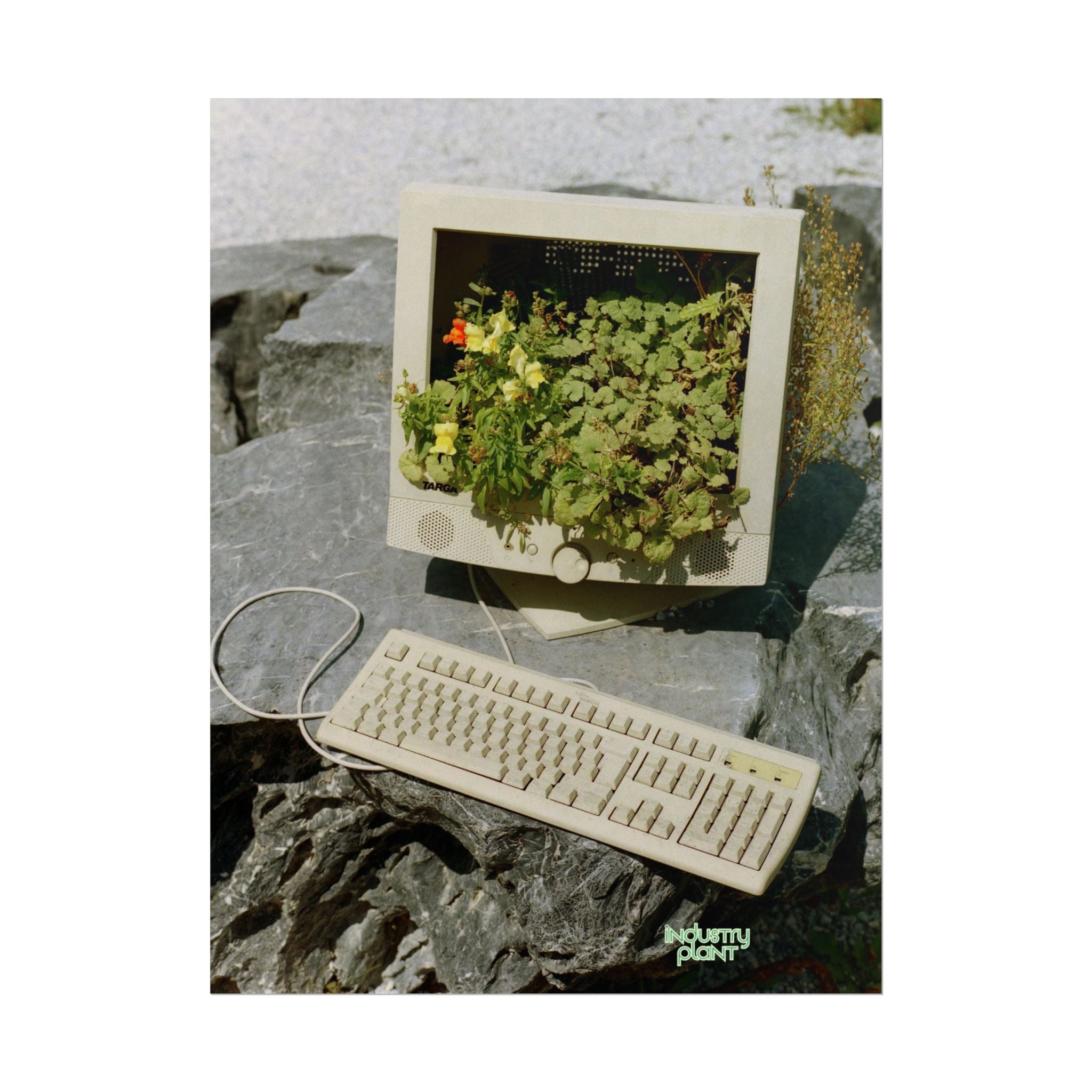 MICRO"green"SOFT PC Retro Plant PC Fine Art Poster — Vintage Computer with Succulents Fine Art Print by Industry Plant by @AutoPaybump