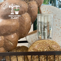 Bread To The Head Pre-Rolls by INDUSTRY PLANT x TEAPOT3