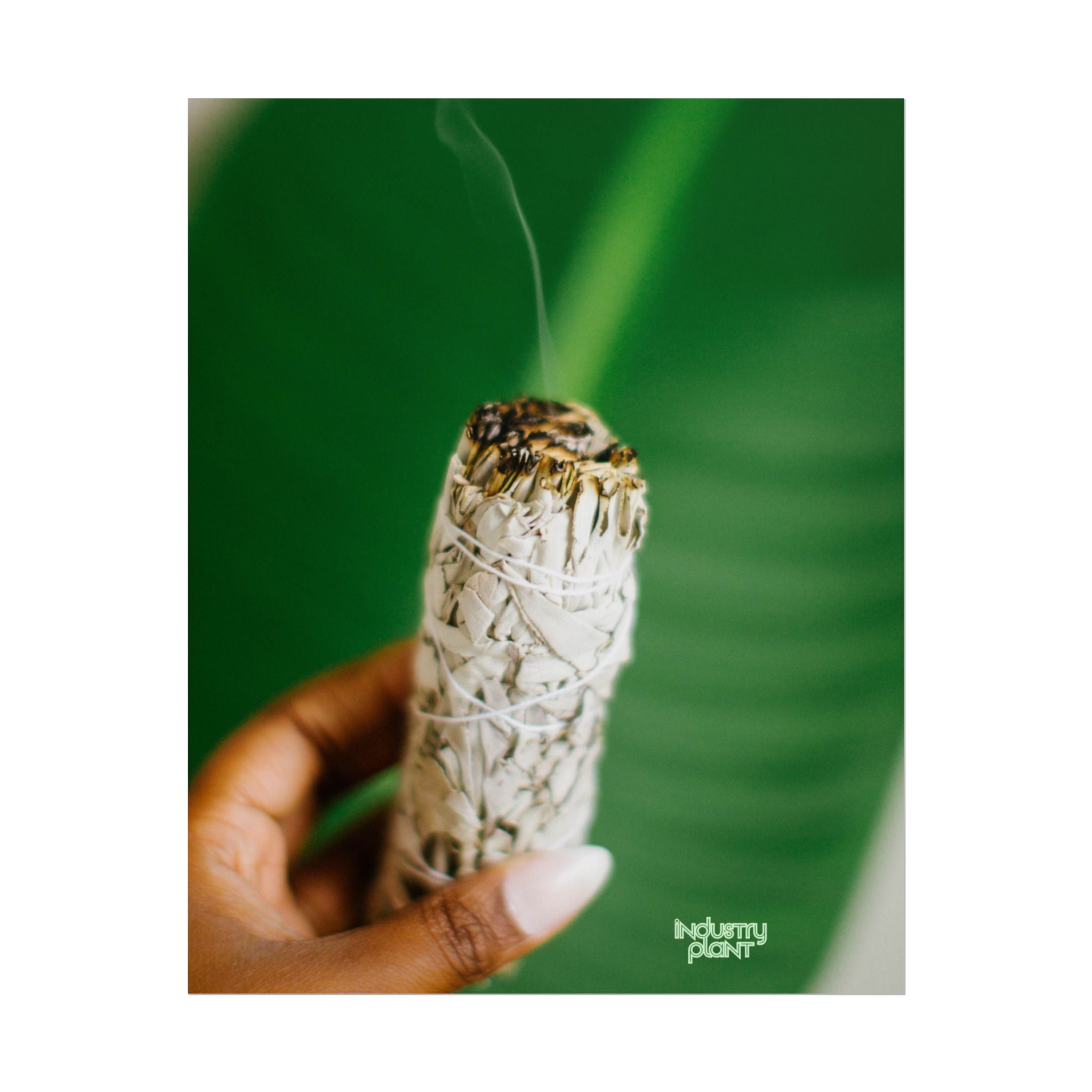 HER SAGING GRACE Sage Smudge Fine Art Poster — Botanical Aromatherapy Wall Fine Art by INDUSTRY PLANT @AutoPaybump