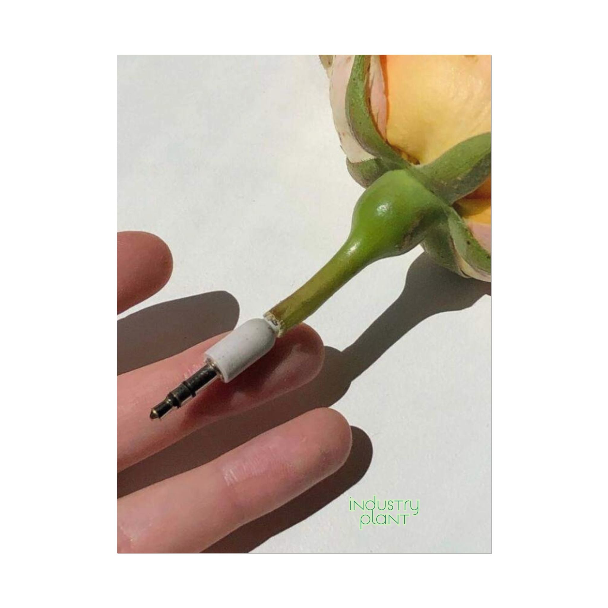 FLOWER POWER ANTHEM PEN Fine Art Poster — Surreal Floral Ballpoint Pen Fine Art Print by INDUSTRY PLANT @AutoPaybump