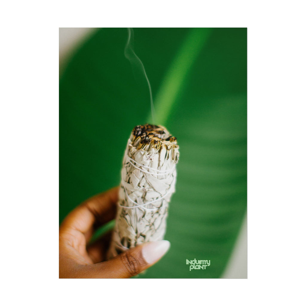 HER SAGING GRACE Sage Smudge Fine Art Poster — Botanical Aromatherapy Wall Fine Art by INDUSTRY PLANT @AutoPaybump