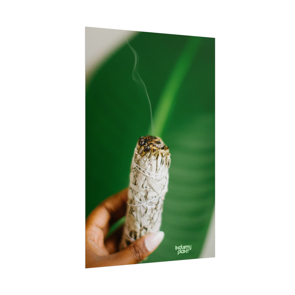 HER SAGING GRACE Sage Smudge Fine Art Poster — Botanical Aromatherapy Wall Fine Art by INDUSTRY PLANT @AutoPaybump