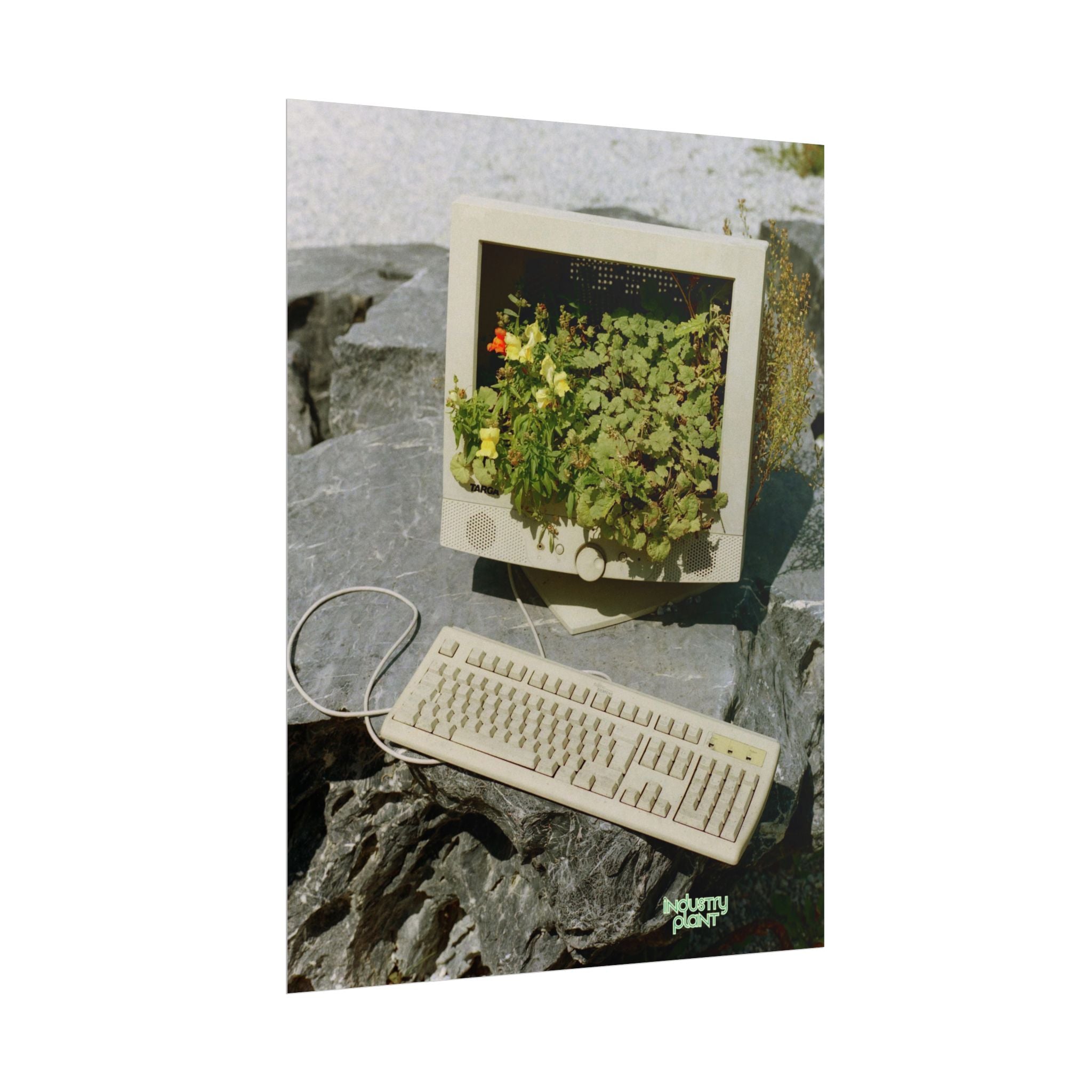 MICRO"green"SOFT PC Retro Plant PC Fine Art Poster — Vintage Computer with Succulents Fine Art Print by Industry Plant by @AutoPaybump