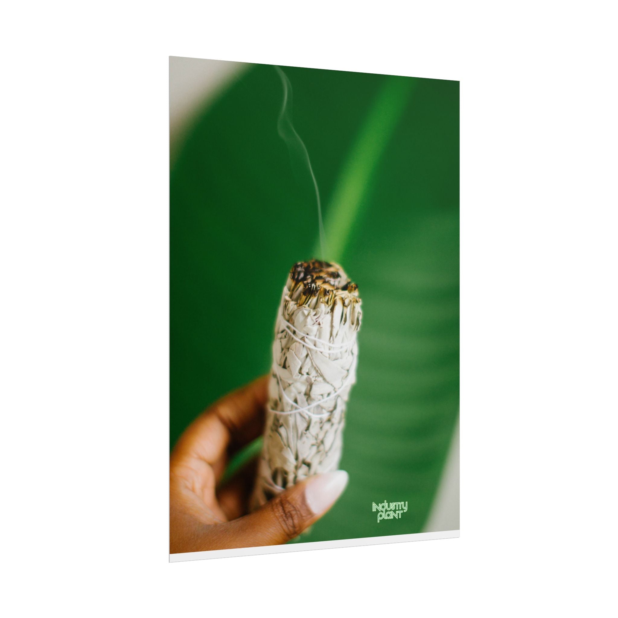 HER SAGING GRACE Sage Smudge Fine Art Poster — Botanical Aromatherapy Wall Fine Art by INDUSTRY PLANT @AutoPaybump