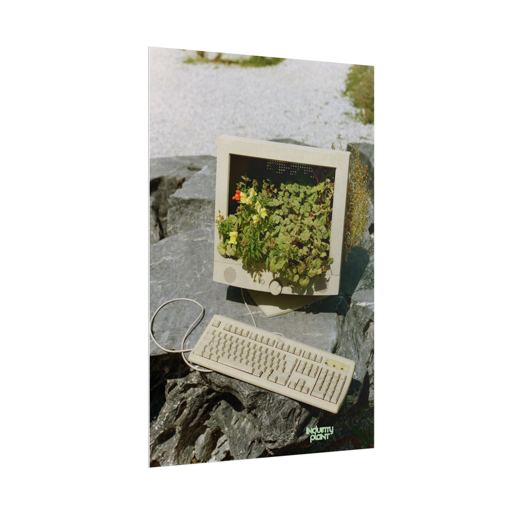 MICRO"green"SOFT PC Retro Plant PC Fine Art Poster — Vintage Computer with Succulents Fine Art Print by Industry Plant by @AutoPaybump