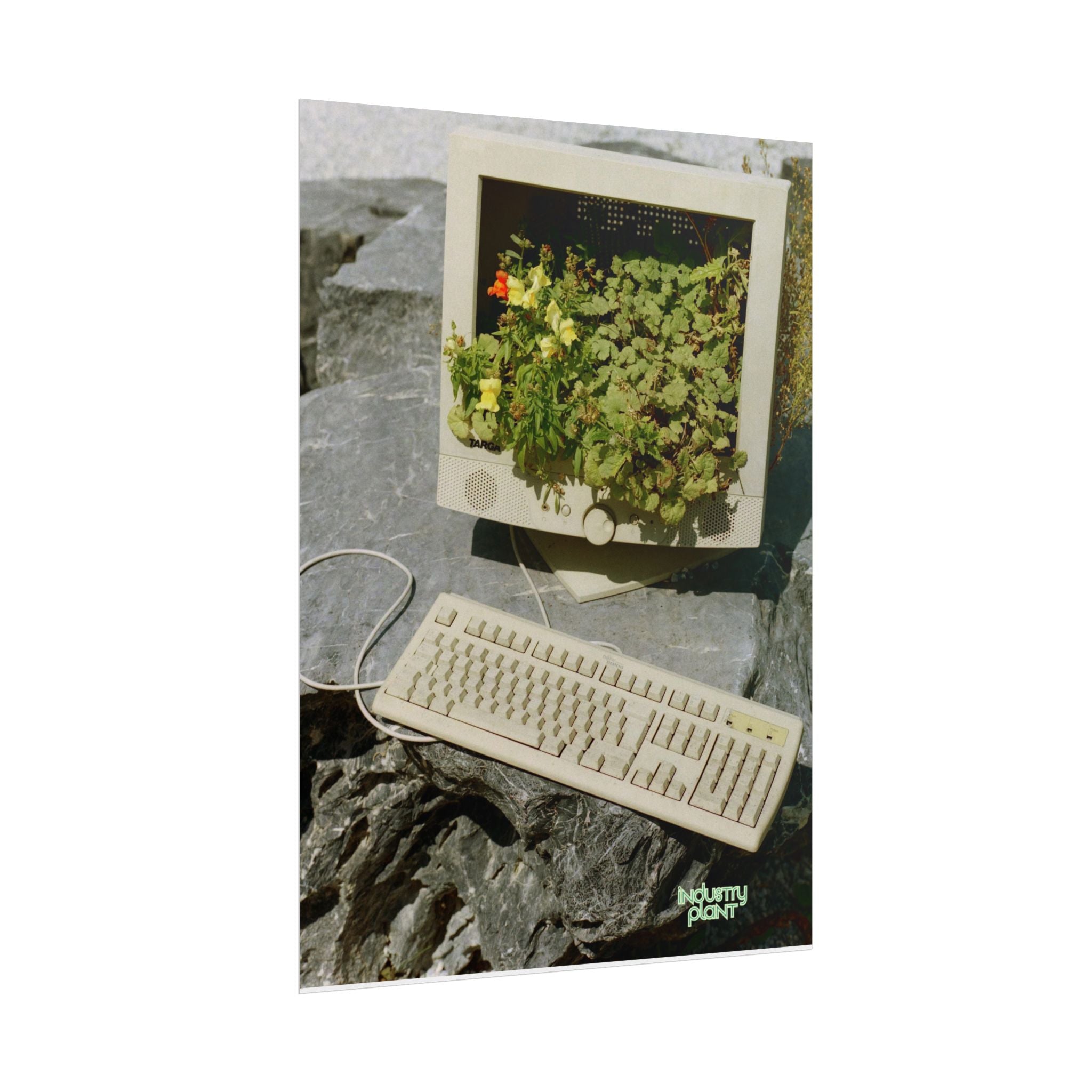 MICRO"green"SOFT PC Retro Plant PC Fine Art Poster — Vintage Computer with Succulents Fine Art Print by Industry Plant by @AutoPaybump
