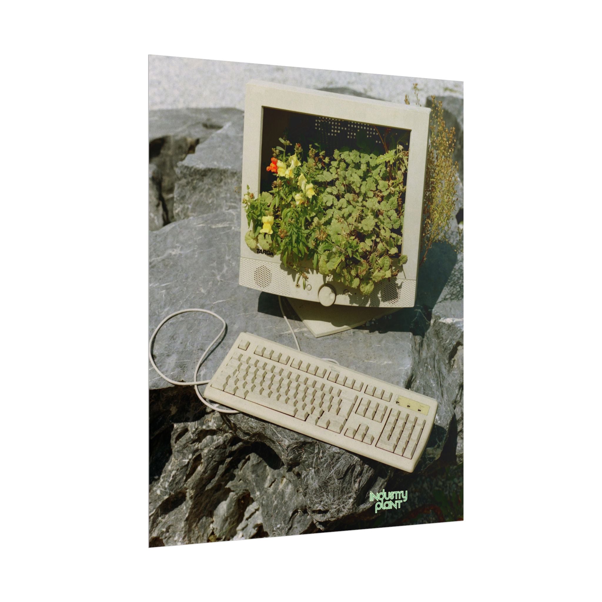 MICRO"green"SOFT PC Retro Plant PC Fine Art Poster — Vintage Computer with Succulents Fine Art Print by Industry Plant by @AutoPaybump