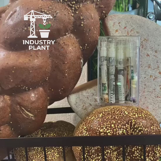 Bread To The Head Pre-Rolls by INDUSTRY PLANT x TEAPOT3